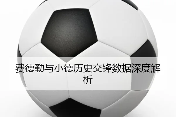 费德勒与小德历史交锋数据深度解析